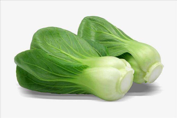 将蔬果作为食物,但并不是所有蔬果都能食用,例如含有大量生物碱的油菜