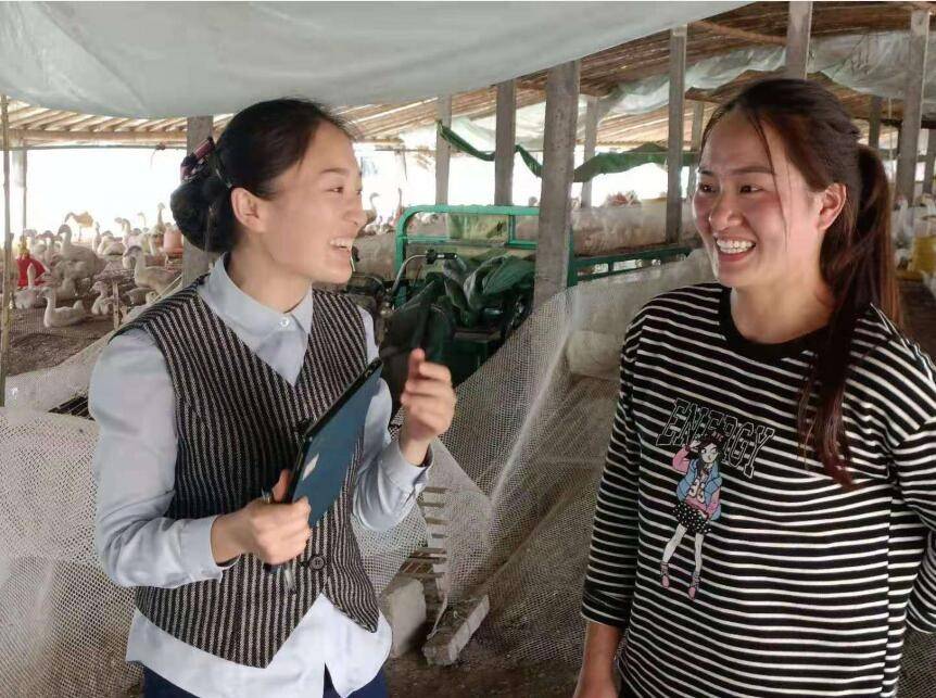 山东省单县农商银行谢集支行"支小再贷款"圆了农家女养鹅致富梦