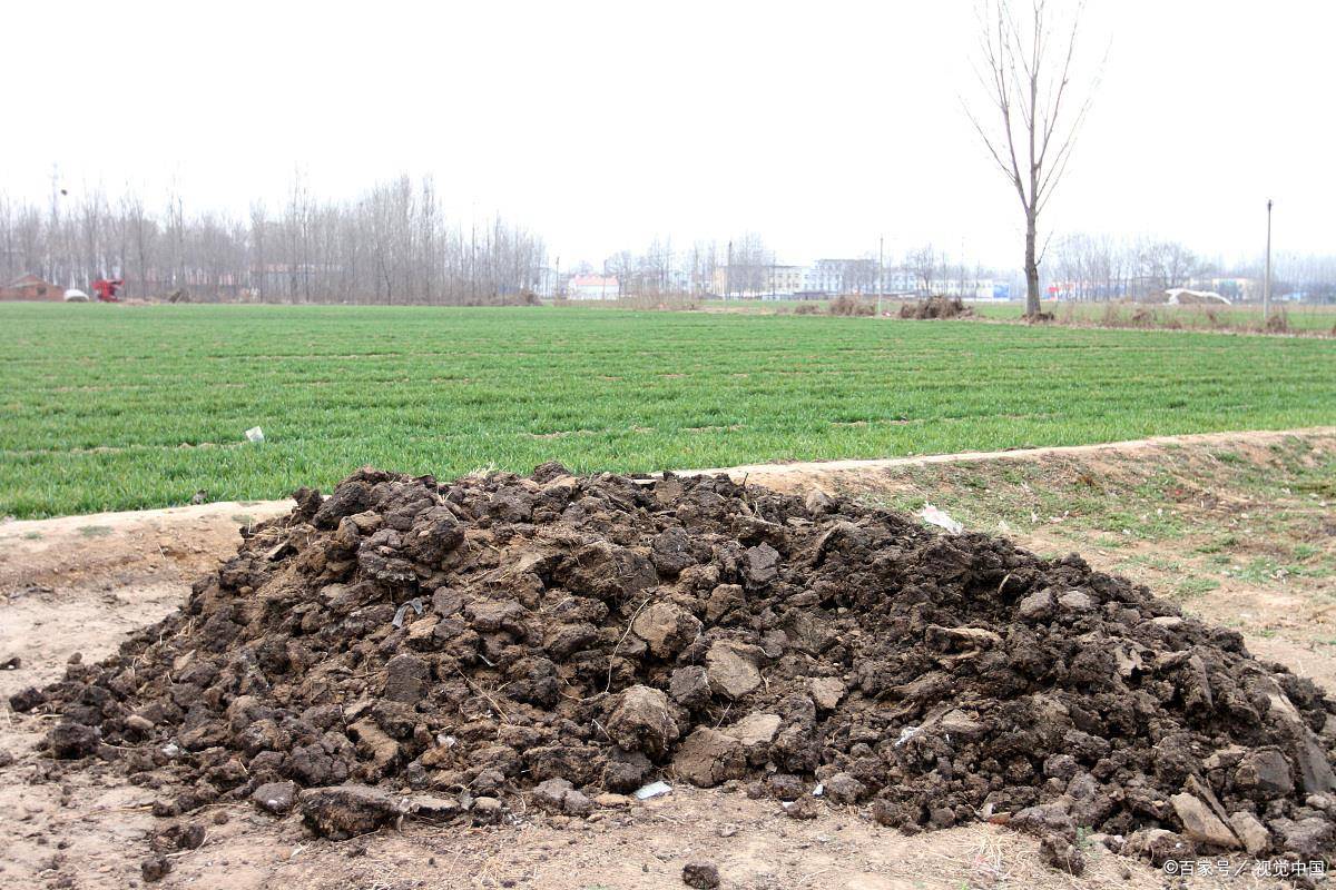 原创农村俗语不怕门前有粪堆就怕屋后黄土追啥意思