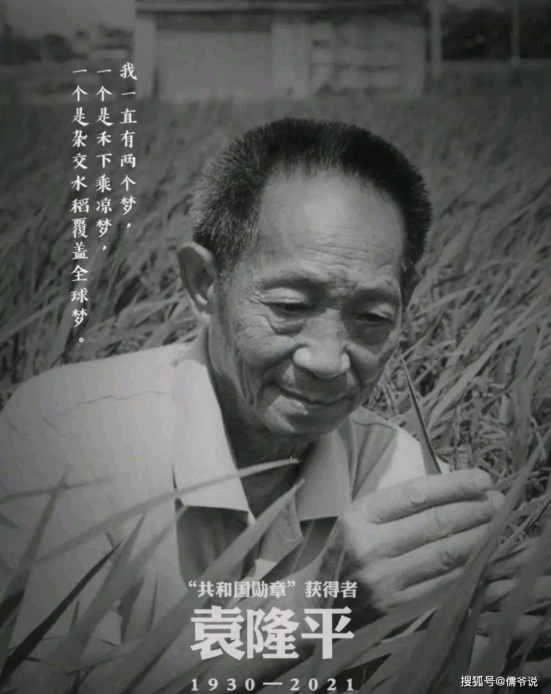 宣传|袁隆平院士去世，虞书欣还在抢热搜，惹众怒后，工作室发声道歉