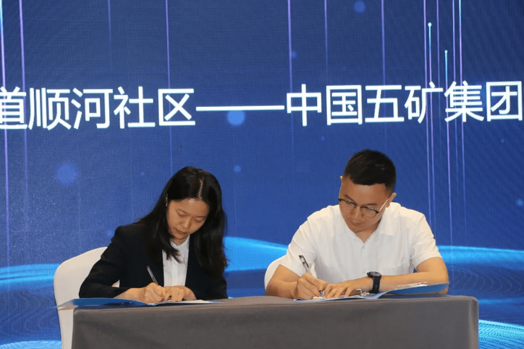 成都大邑五矿产城发展有限公司,四川好彩同创文化传播有限公司等五家