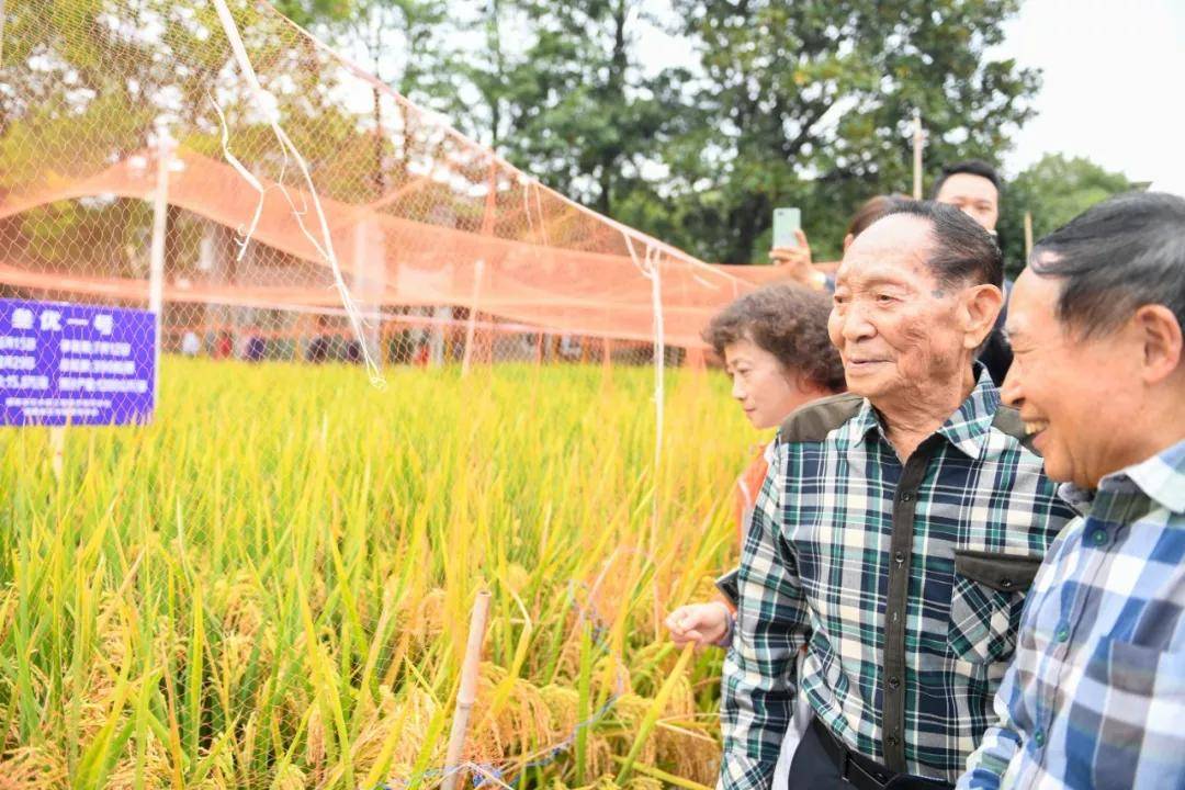 新华社|“从泥土里来，到白云中去”