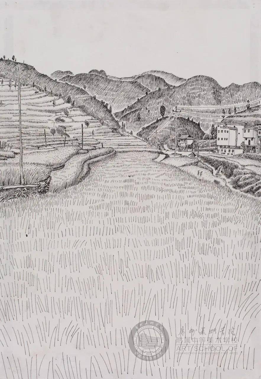 周冠成2011级八开田野2011级八开蔡彦钟2011级八开周冠成2011级八开夏