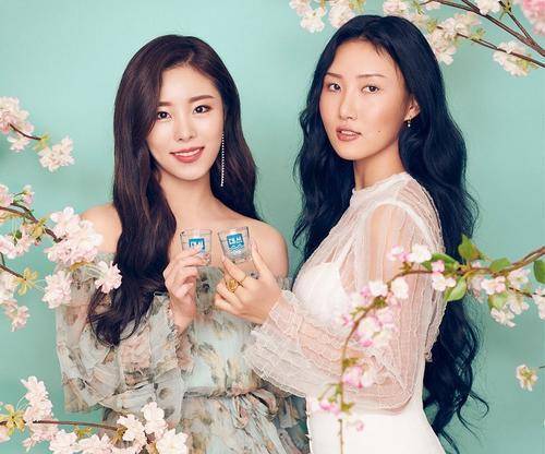 mamamoo面临解散?成员颂乐与玟星完成续约,华莎和辉人可能离开