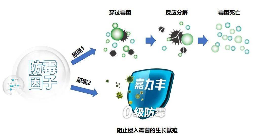 旧房发霉墙纸墙布焕新爱ta就给ta靠谱的防霉产品