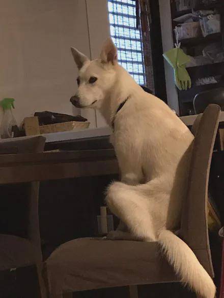 32f05359f80746f69e996c14df5400ad.jpeg