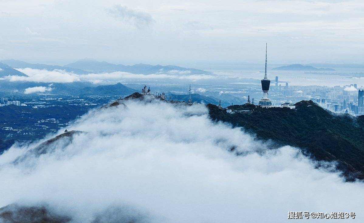 在廣東一定要爬一次深圳梧桐山仙境般的雲海美到讓人窒息