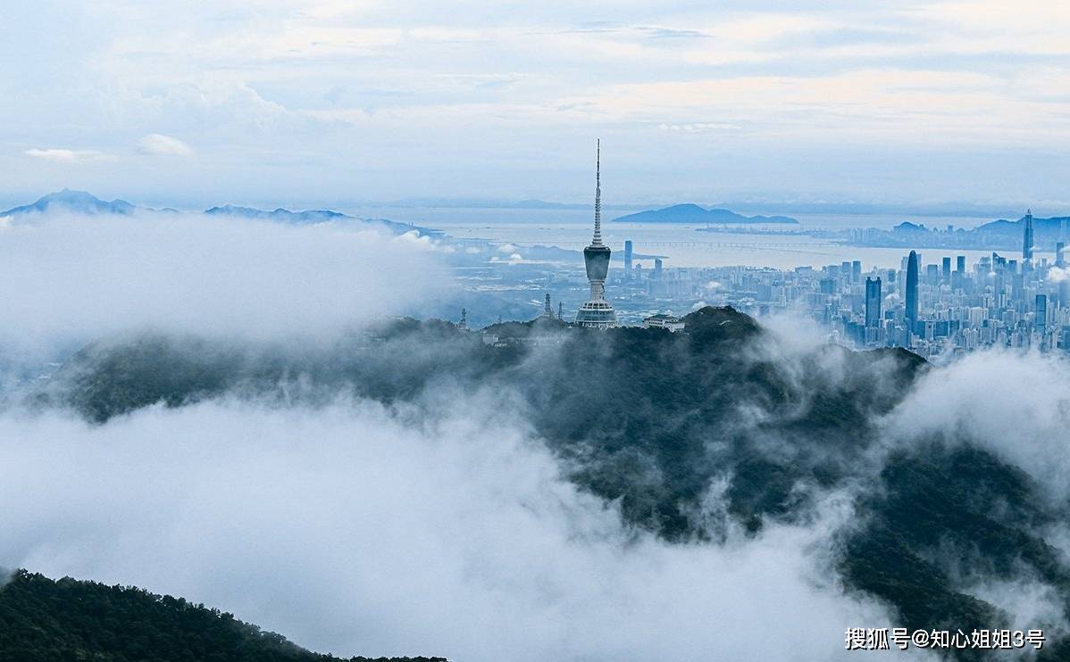 在广东一定要爬一次深圳梧桐山仙境般的云海美到让人窒息