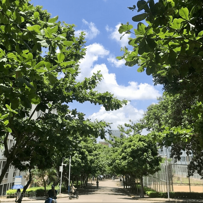 成都职业学校排行榜_2021成都中职学校排名-成都最好的中职学校
