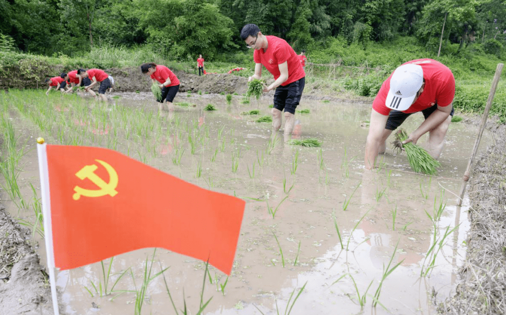 榆中县六中从连搭走怎么走_榆中县连搭中学图片