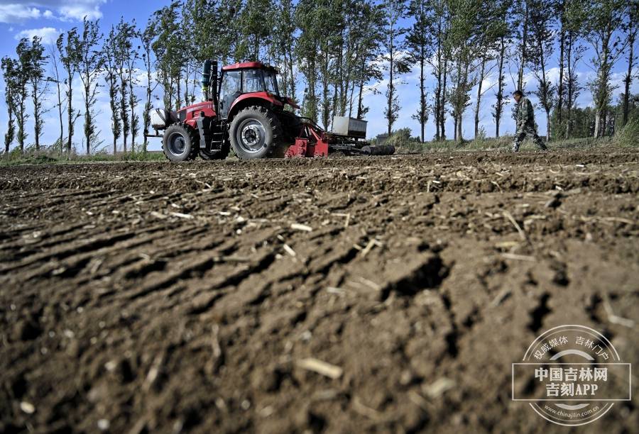 2021吉林振兴ing丨天天夜稿会梨树采访第一天看吉林农业的底气