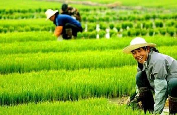 河北一农民因下地公开检讨