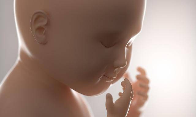 几个月胎儿会缺氧 dc8dfd26eb6440668deb95d71b8a1f18.jpeg