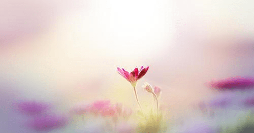 a6362ef6ccc041f4a84eb50aa49e1f76.png