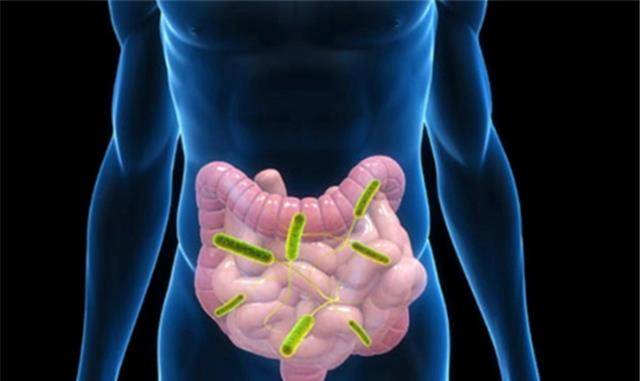 屎是怎么形成的英语 6161448254fa4391b235d393d4566c54.jpeg