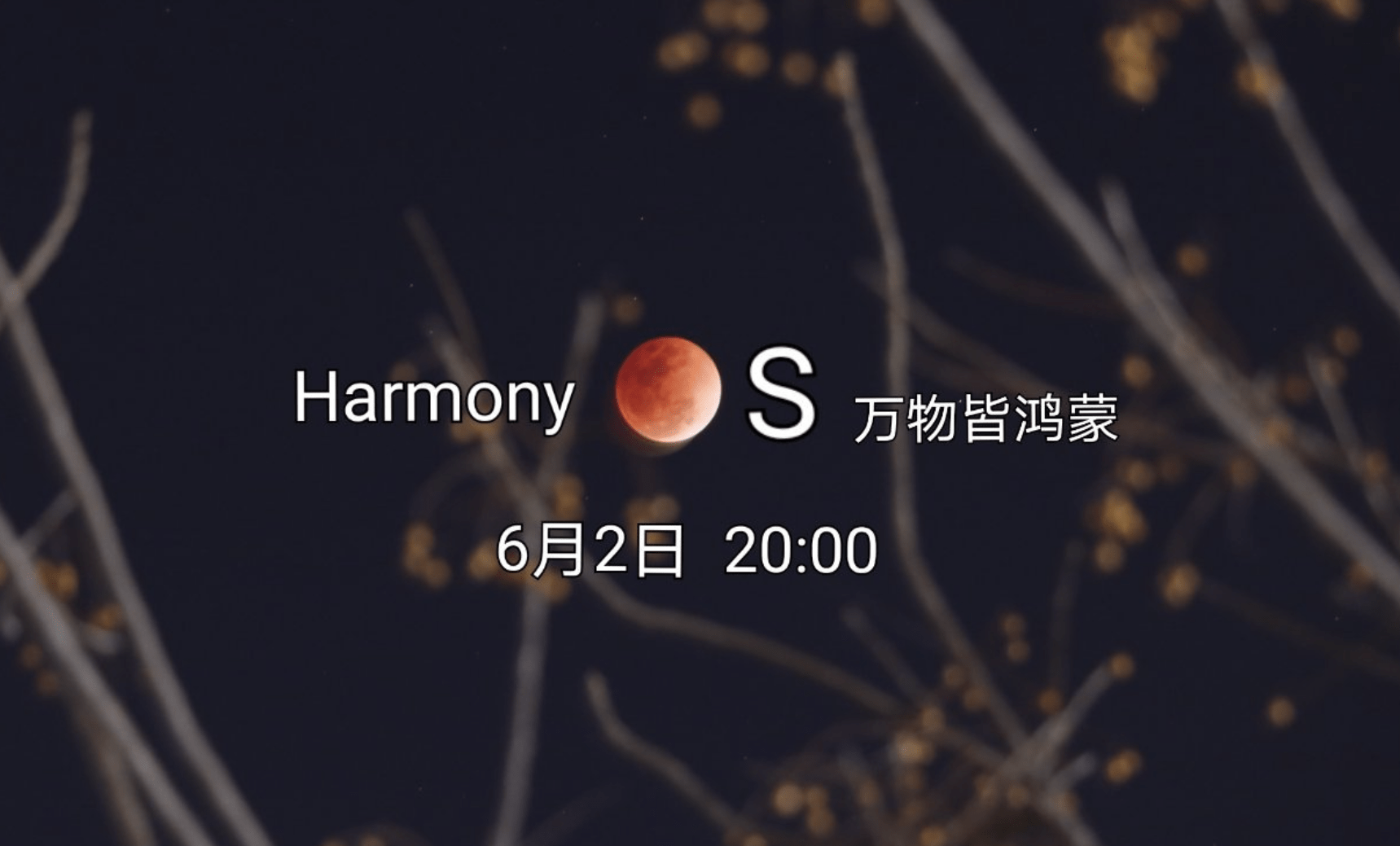 bb4513cdb835405fadac5e4e24121178.png