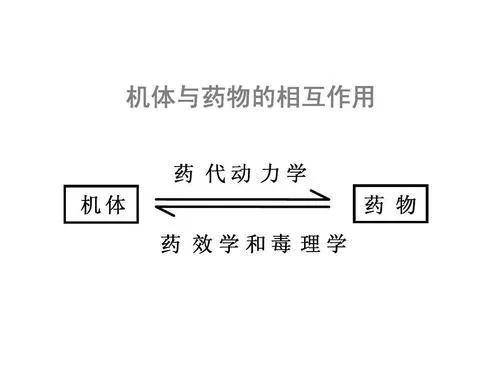 fa362abe0a9347a4a65ca4014dcd5542.jpeg