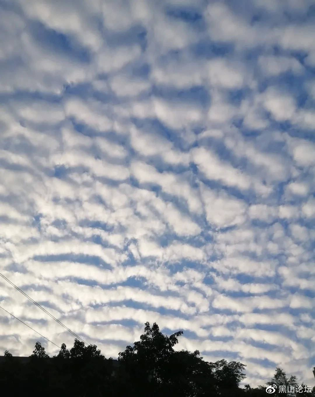 牛年摄影 天空是用来仰望的 美就在那里 来路