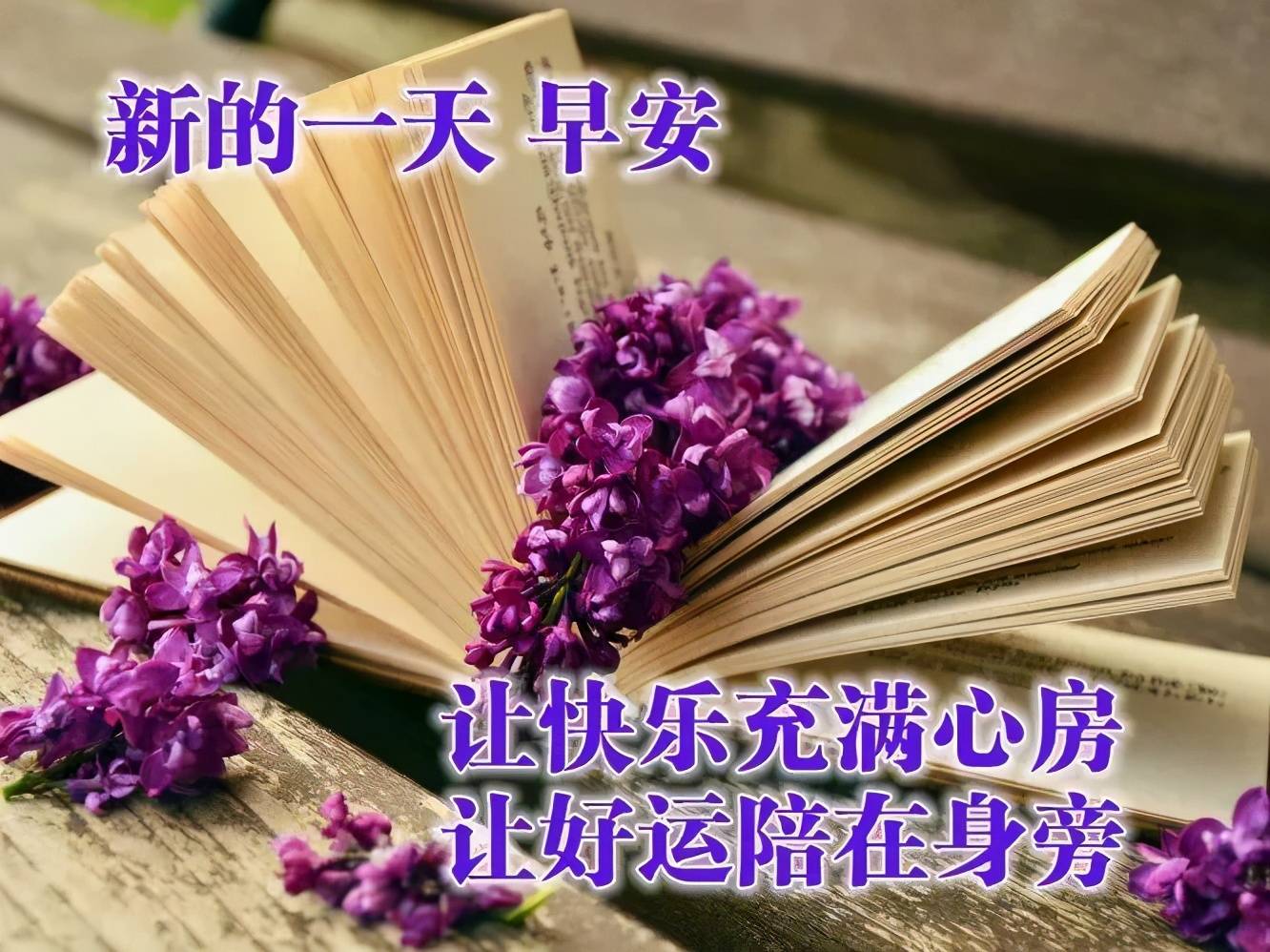 开心快乐每一天的动态表情 63a93d55d3bf4d168dd9f9553af306d6.jpeg