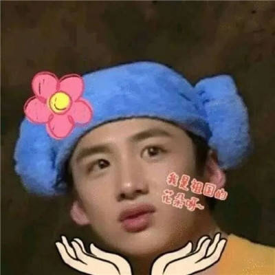 最新白敬亭表情包合集