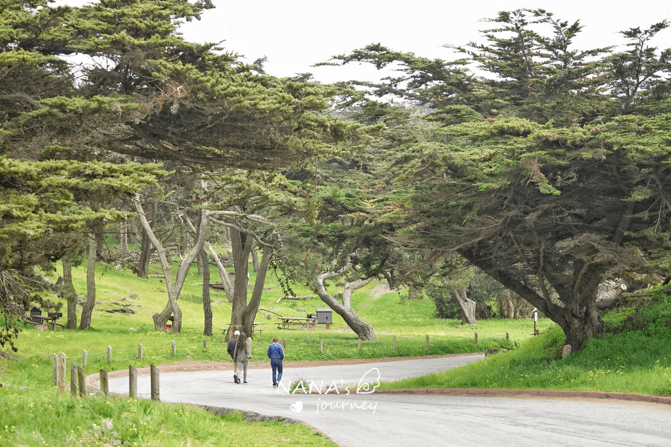 美国旧金山的这个景观，仿佛寂静岭，却是自然赐予的神奇景象_搜狐网, image size:1360x907