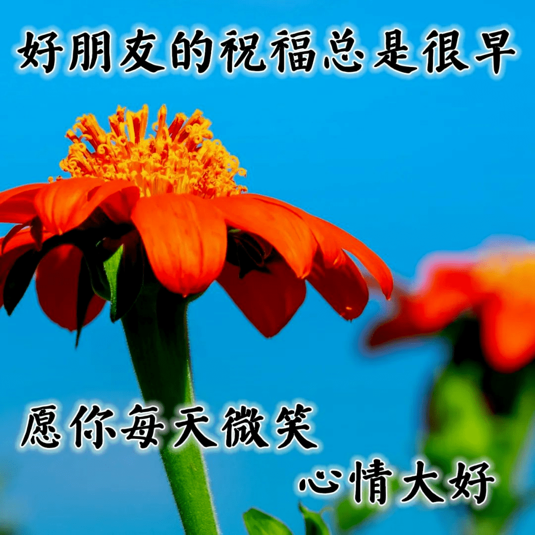 简单的生活从早上开始 25fef550425f4057b7cf205dbf71e973.png