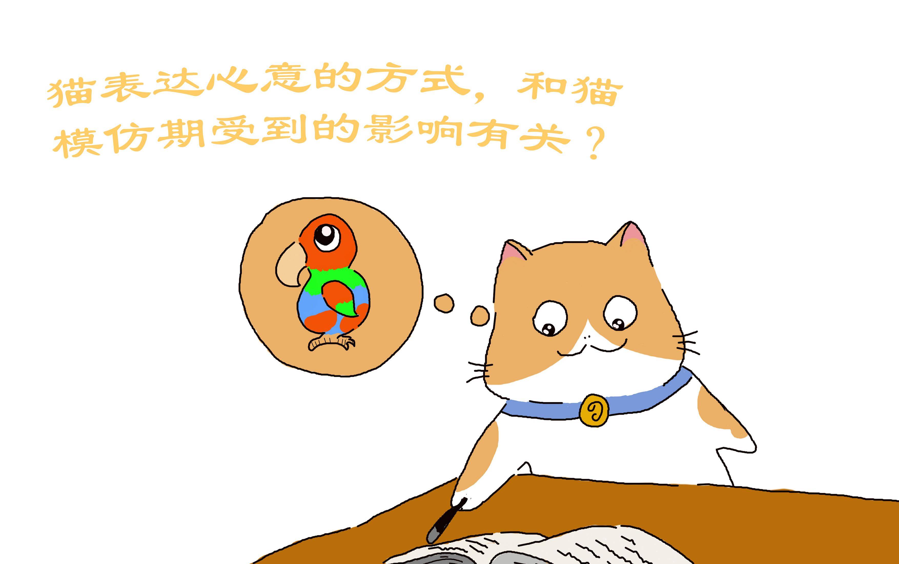4c1c2dbac30d4550b6a538fab466c69b.jpeg