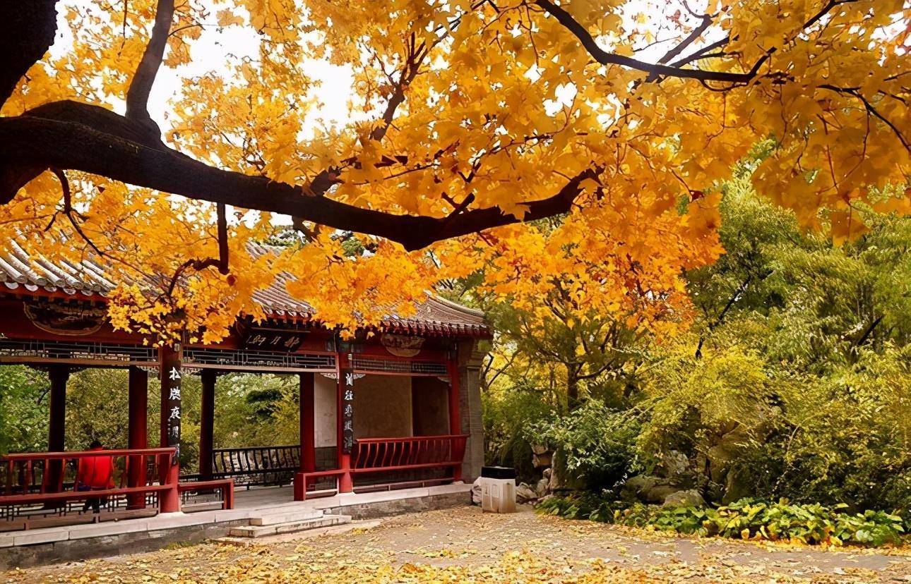 北京的一个小公园,曾与天坛齐名,现在门票仅一元却无人问津_南园