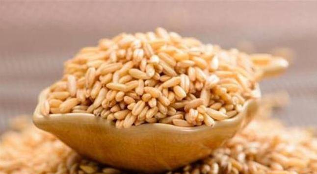 坚果类食物含较多的营养 810f032d32344e5384063ceecb22cbe2.jpeg