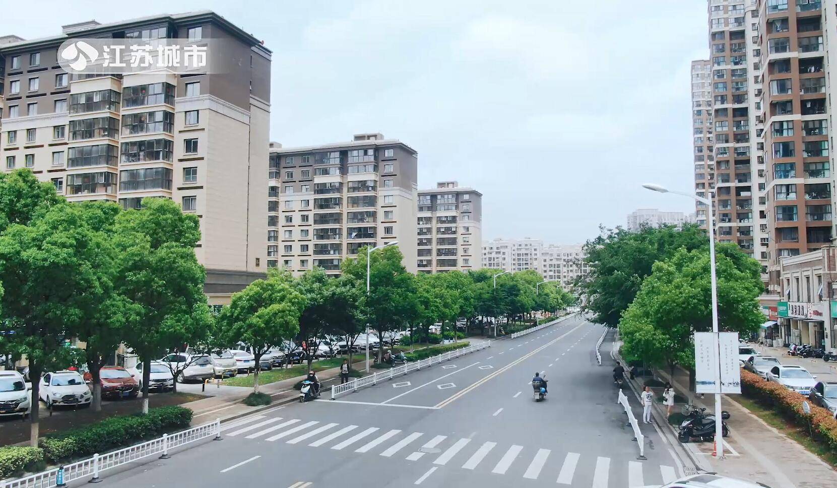 江蘇電視臺江蘇直通車報道南京西崗街道