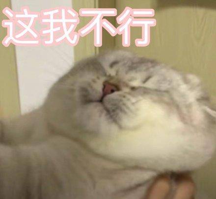 accce2dfc64e43daa82aa6b93817fa17.jpeg