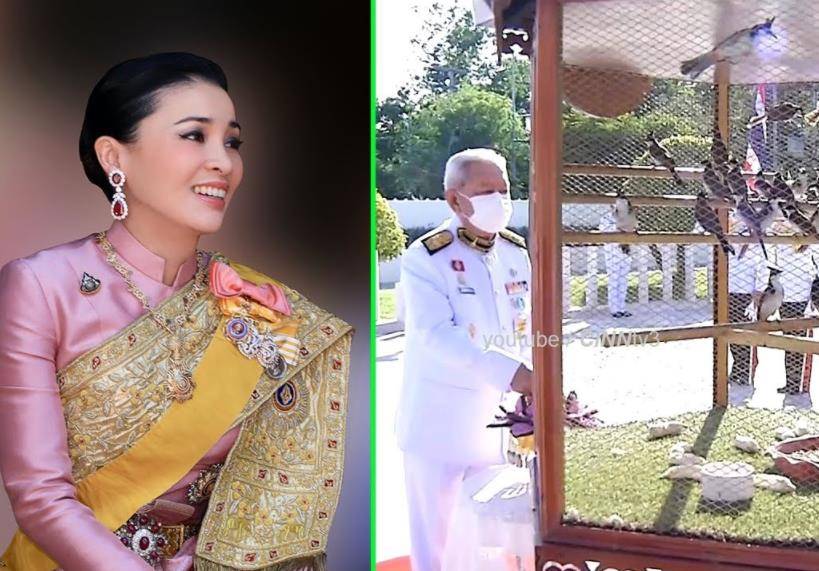 苏提达王后被轻视,泰王派属下主持宴会,庆生规格远不如诗妮娜_生日