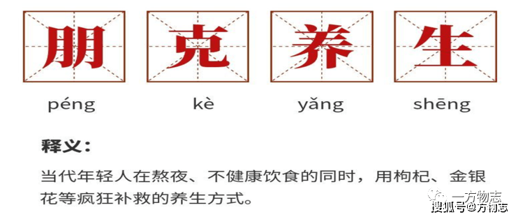 什么是朋克养生党 369754a36fda4a10b30fed601f401e63.png