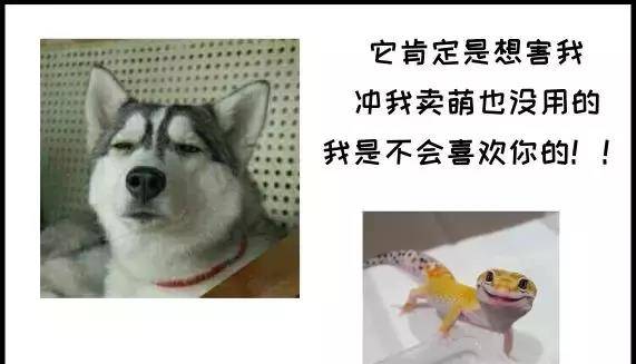 895d3c949dd9400ea682070a7a04735e.jpeg