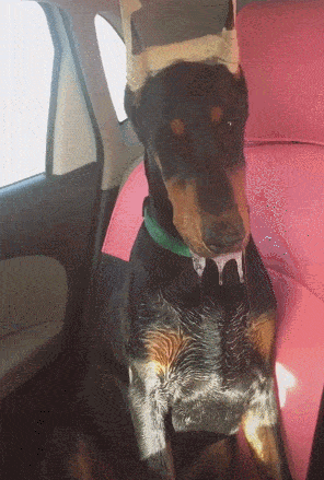 296_439竖版 竖屏gif 动态图 动图