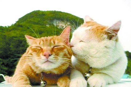 如何让自己快速平静情绪 0d86bdea2b8c406695c187f49476524d.jpeg