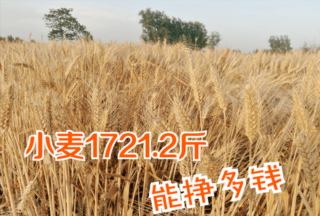 10954c8028c24ac78da2356b8fc54ca0.png