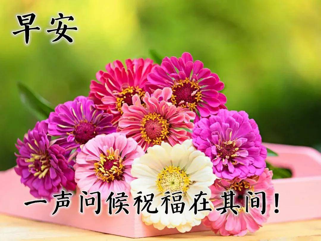 原创2021年早上好问候,早安祝福心语