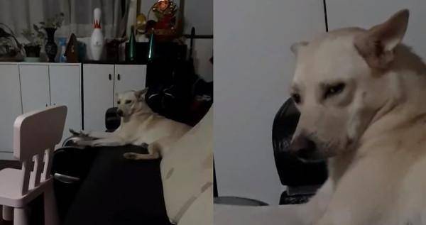 88f714fec2f4437ebbc9f4d03a0c606e.jpeg