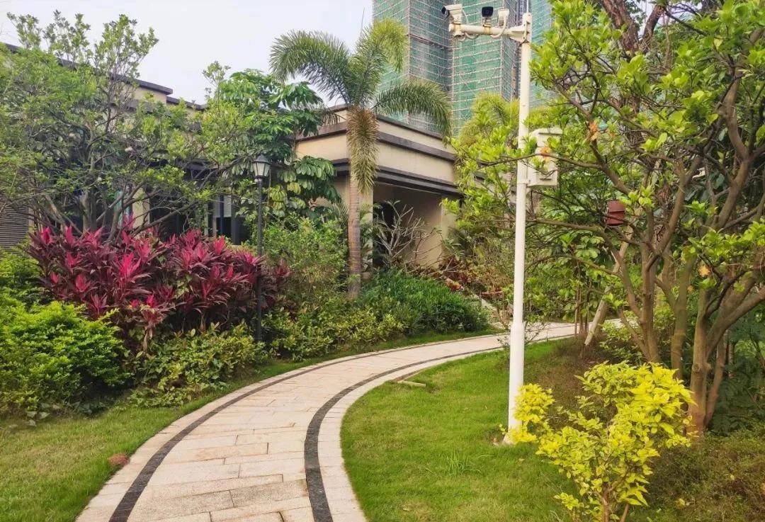 佛山大家都在关注楼盘中昂翠屿湖开发商是哪个小区配套好吗有学校吗