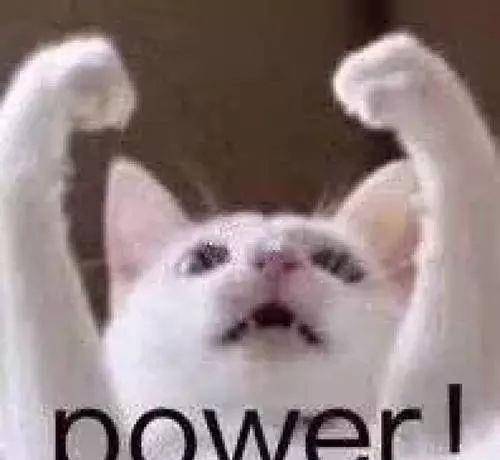 36ceedb7513a4f7daba6643db231bd6b.jpeg