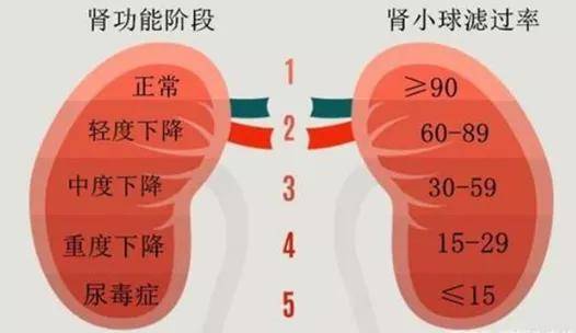 什么情况会引起低蛋白 4301fd33b4fa42eaad7458dbdf71c334.jpeg