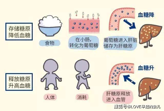 体重|身体若有4个异常,血糖或已超标,也许“暗示”你该好好控糖了