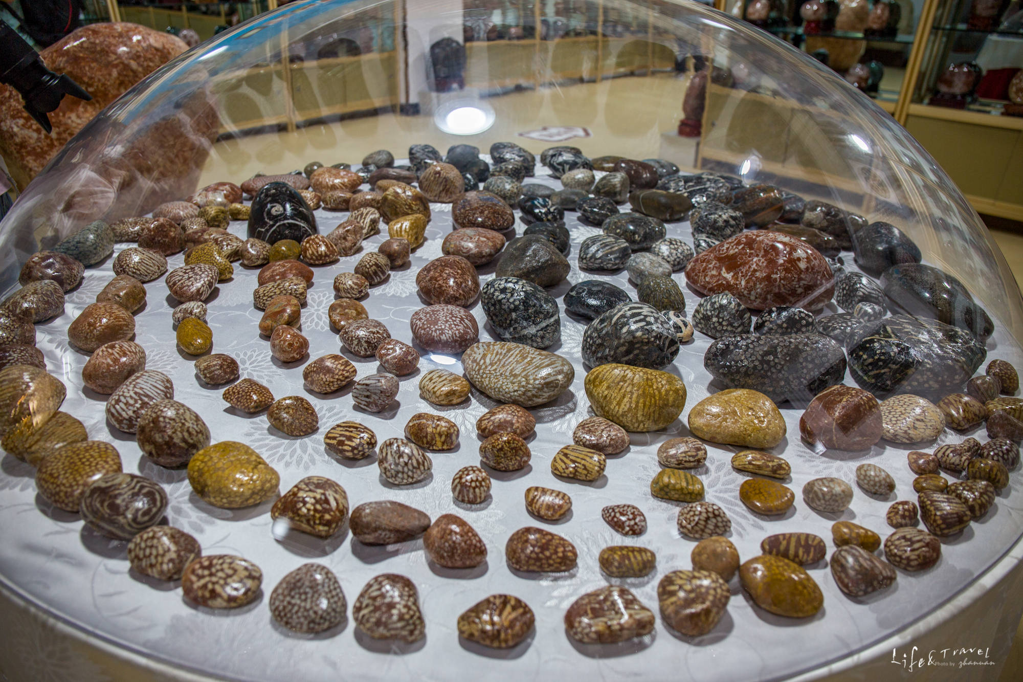 甘肃这个博物馆,满汉全席都是石头?馆长30多年收藏4万多方石头