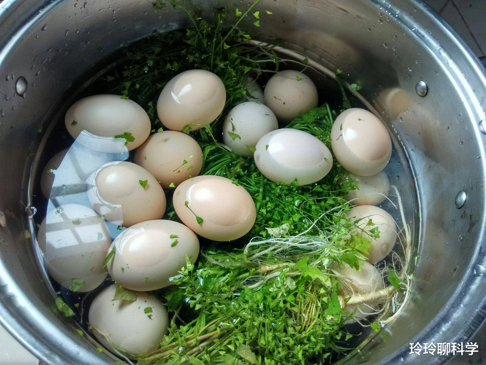 荠菜煮鸡蛋怎么做_荠菜煮鸡蛋的做法_豆果美食