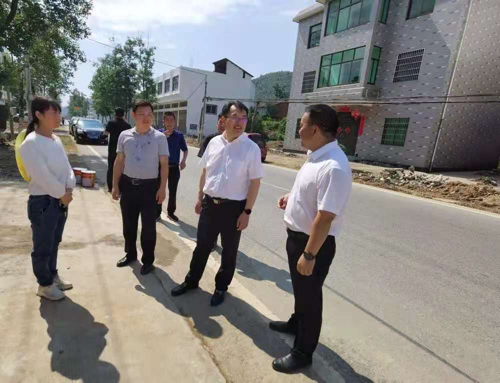 整体提升改造和环境整治情况,听取了临湖镇党委书记吴宗辉的相关汇报