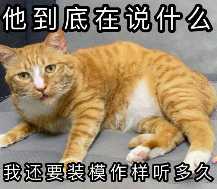 3a38d049472b450cbbb208ae99c140a6.jpeg