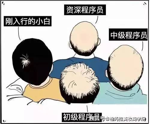 头发|不想内卷，远离脱发！选工作时一定要避开这5个职业！