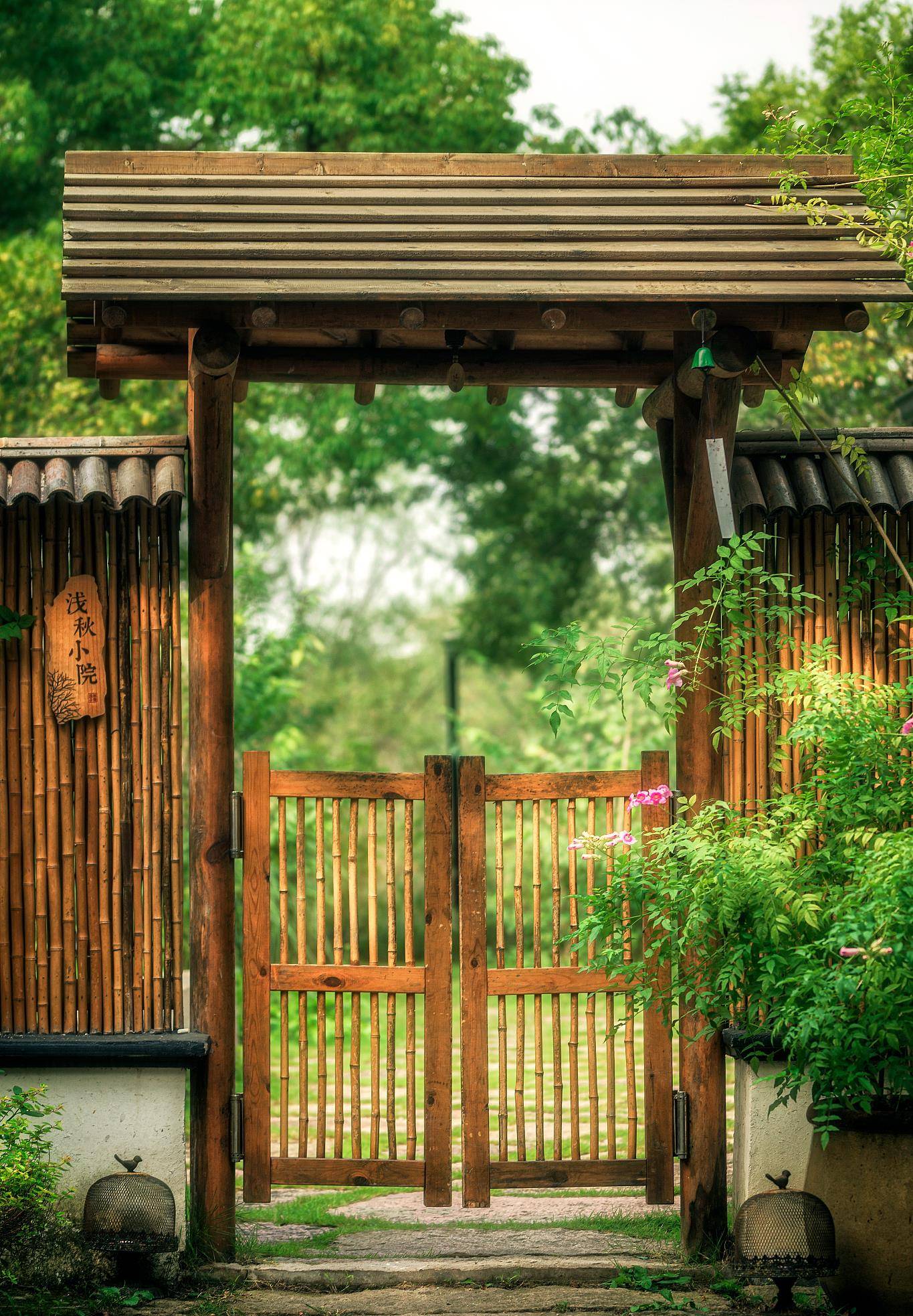 夏天院子里蚊虫多拥有它们有些对不起隔壁