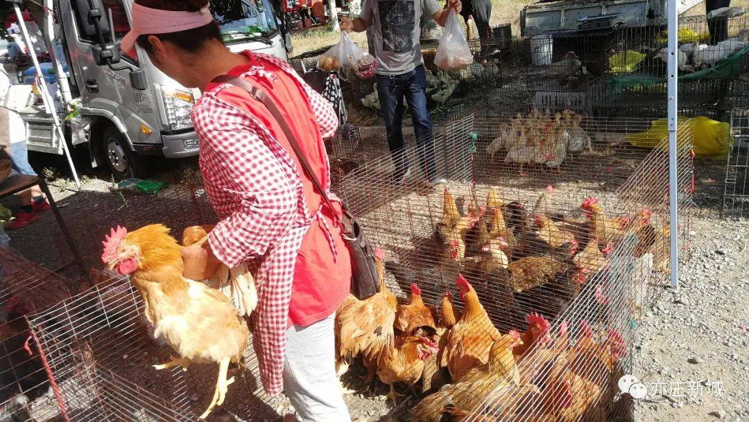 马驹桥镇"周营大集"开了!距离亦庄最近的郊区大集